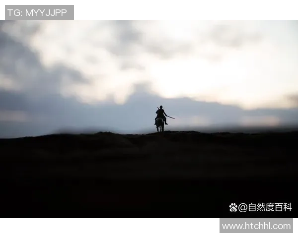 昔日绿茵巨星终难逃落寞身影辉煌过后尽显孤独